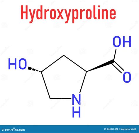 Hydroxyproline Hyp Amino Acid Essential Component Of Collagen