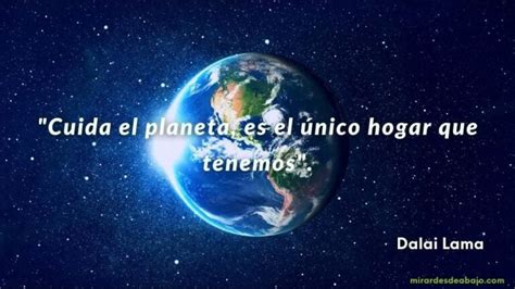 Frases Del MEDIO AMBIENTE Reflexiona Y Cuida El Planeta