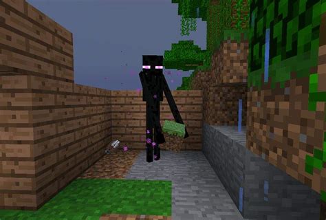 Endermans Wiki Minecraft Amino Crafters Amino