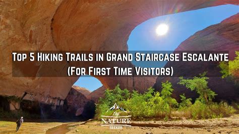 Top 5 Grand Staircase Escalante Hikes For First Timers