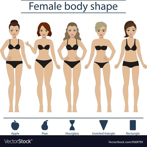 Woman Body Types, Set Of Body Shape Types Vector Image 1520101 ...