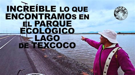 Conociendo El Parque Ecologico Lago De Texcoco Youtube