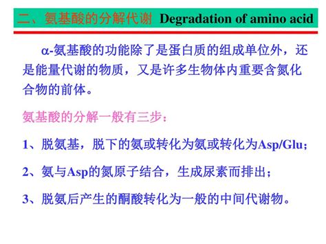 第30章 蛋白质的降解和氨基酸的分解代谢 Ppt Download