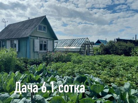 Продам дачу 6.1 сотка . Летний домик ,банька , сарайчик 2 шт. 2 теплицы ...