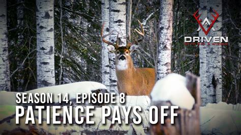 Patience Pays Off Season 14 Episode 8 Youtube