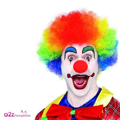 Crazy Clown Rainbow Wig Adult Accessory