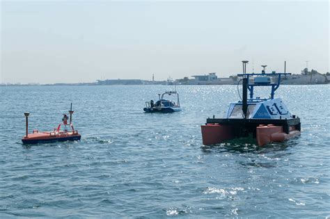 USVs: From Surveying to Enhancing Security in Wind Farms