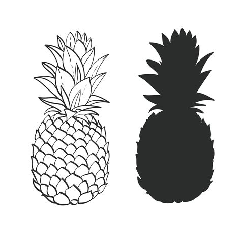 Black And White Pineapple Vector At Collection Of