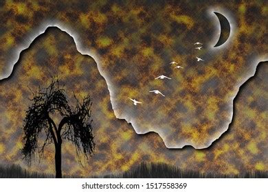 198 Orange Naked Bird Images Stock Photos Vectors Shutterstock