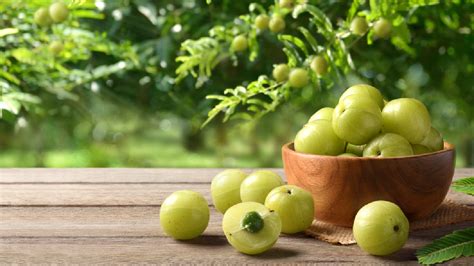 The Indian Gooseberry Amlas Health Benefits And Medicinal Use Zetta