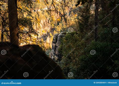 High-angle View of Mountains and Forest. Stock Image - Image of outdoor, wild: 269300469