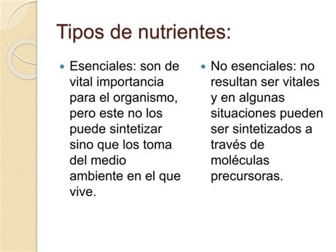 Nutrientes PPT Descarga Gratuita