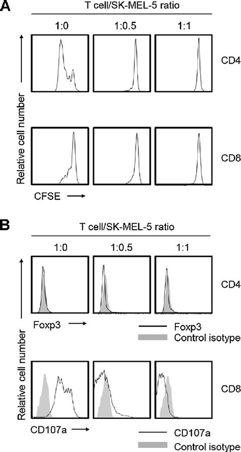 Modulation Of T Cell Phenotype And Function By Cd39 þ Cd73 þ Tumor