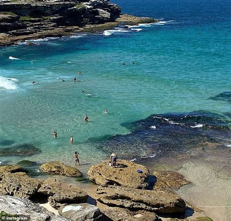 Shark Alert As Massive Great White Is Spotted Near Bondi Beach Sound