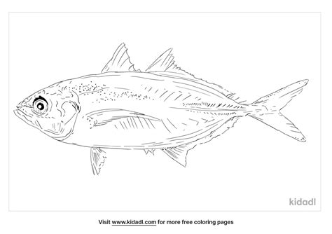 Yellowtail Designlooter Dragoart Coloringhome Sketch Coloring Page