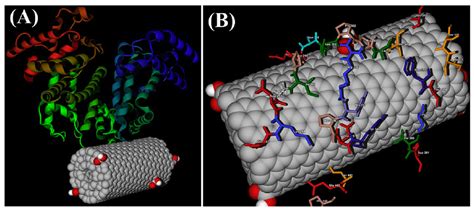 C Free Full Text Hemocompatibility Of Carbon Nanostructures