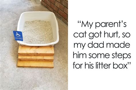 50 Funny And Wholesome Dads Who Nailed Fatherhood New Pics Bored Panda