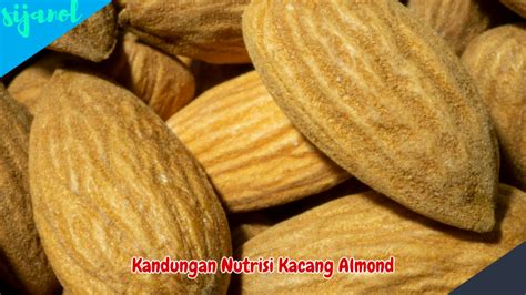 7 Manfaat Kacang Almond Untuk Kesehatan Anda Langkah Penting Menuju