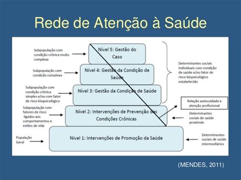 Linhas De Cuidado Nas Redes De Atenção à Saúde