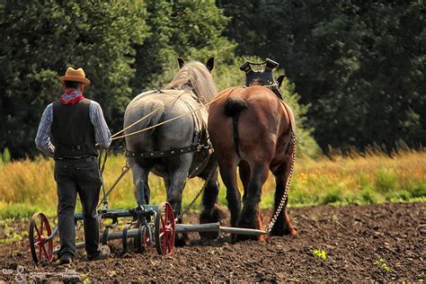 Historische Landbouw Nonke Buuske 2012