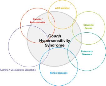 Chronic Cough In Adults European Journal Of Internal Medicine