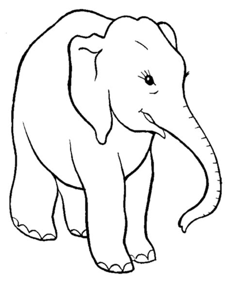 Omalov Nka Printable Elephant Coloring Page K Vytisknut Zdarma