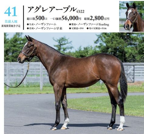 【41 50】シルク2023年度募集馬全頭評価⑤ バッタの一口馬主データ分析室