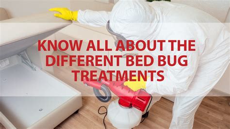 Know All About the Different Bed Bug Treatments