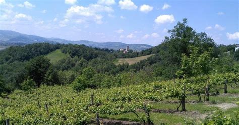 Passeggiata Naturalista Al Rio Rocca Gazzetta Di Reggio