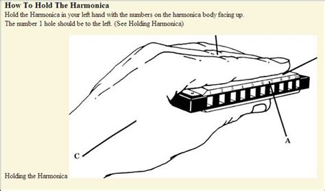 8 Best Sites That Help You Learn How To Play The Harmonica In 2020 Harmonica How To Play