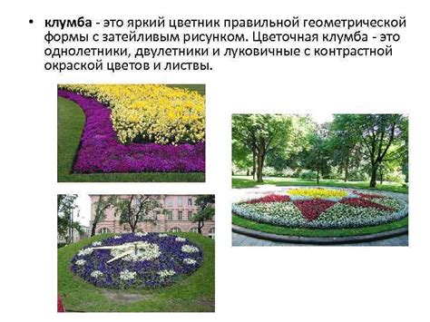 Проектирование цветника ВИДЫ ЦВЕТНИКОВ миксбордер смешанный