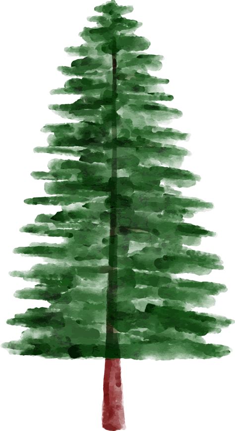 Watercolor Pine Tree Clip Art 12521515 PNG