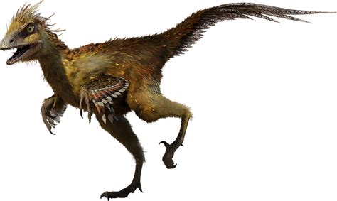 Hesperonychus | Dinosaur Alive Wiki | Fandom