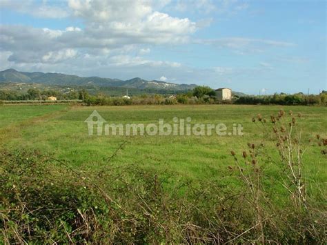 Terreno Agricolo Casal Velino Rif Immobiliare It