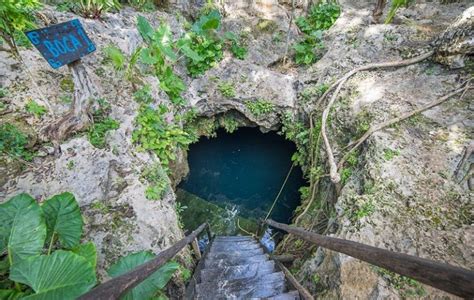 El Top De Los Cenotes En Canc N Y En La Riviera Maya Tips Para Tu