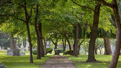 Historic Elmwood Cemetery One Of Detroits Best Parks Curbed Detroit