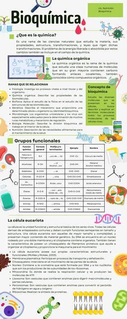 Bioquimica Actividad Resumen De Los Conceptos Estructura Celular The