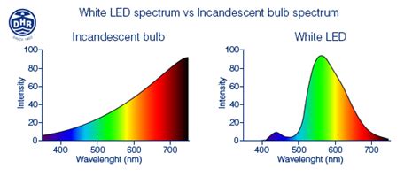 Incandescent bulb vs LED bulb | Den Haan Rotterdam