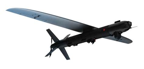 BlueBird Aero Systems Israel Luncurkan Drone Kamikaze SpyX Maroko