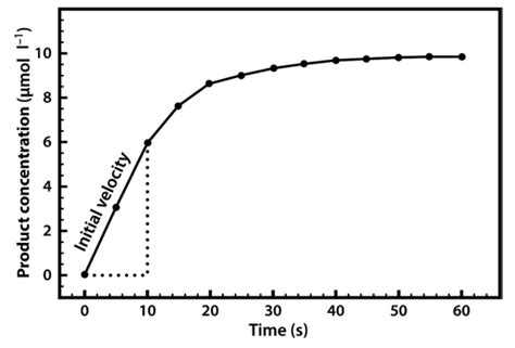 Chapter 6 Enzyme Principles And Biotechnological Applications Chemistry