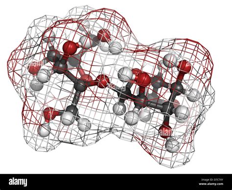 La Sacarosa Azúcar Sacarosa Molécula Estructura Química Los átomos