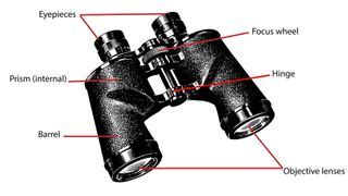 How Do Binoculars Work We Reveal The Magic Of Magnification Advnture