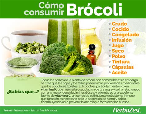 Brócoli Herbazest