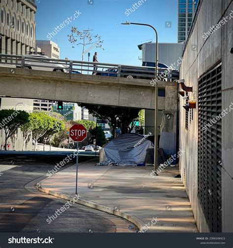 Los Angeles Ca Jan 2023 Homeless Stock Photo 2300104511 | Shutterstock