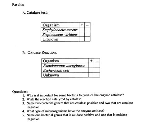 Solved Results A ﻿catalase Test B ﻿oxidase