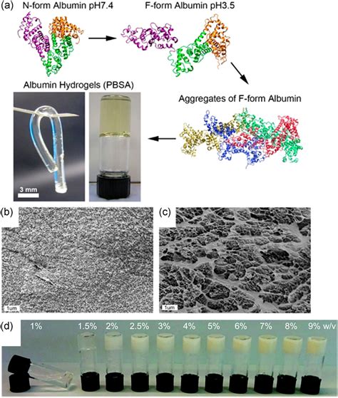 Biotechnology Bioengineering Biotechnology Journal Wiley Online