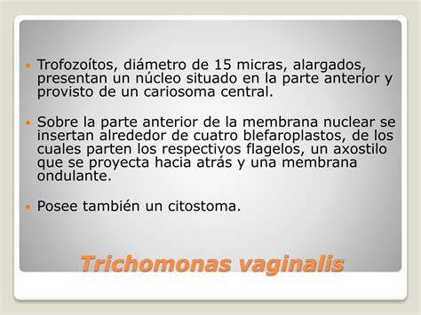 PPT Flagelados De Intestino Y Vagina PowerPoint Presentation Free