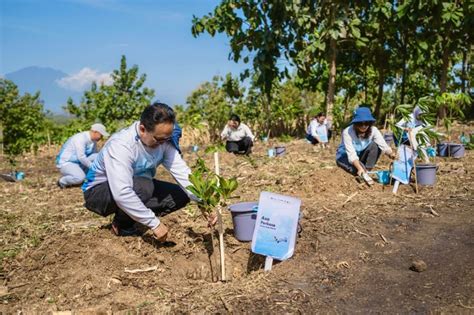 Pelita Air Dan Pertamina Tanam Ribu Pohon Di Jawa Timur Aksi Nyata