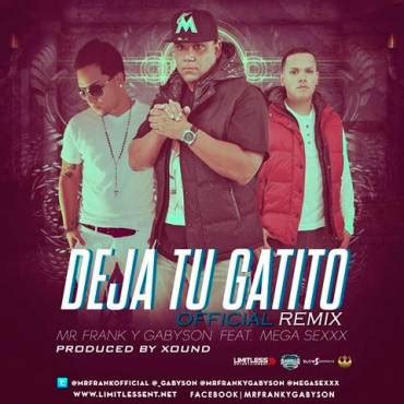 Cover Mr Frank Y Gabyson Ft Mega Sexxx Deja Tu Gatito Official Remix