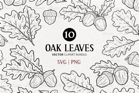 13 Oak Tree Branches Vector Clipart Acorn Tree Leaves Svg